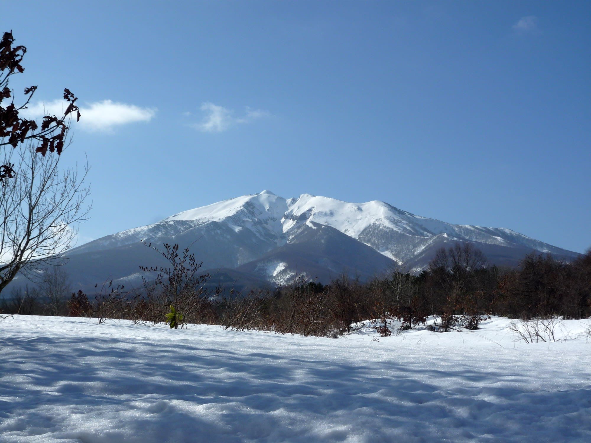 Aomori, Japón