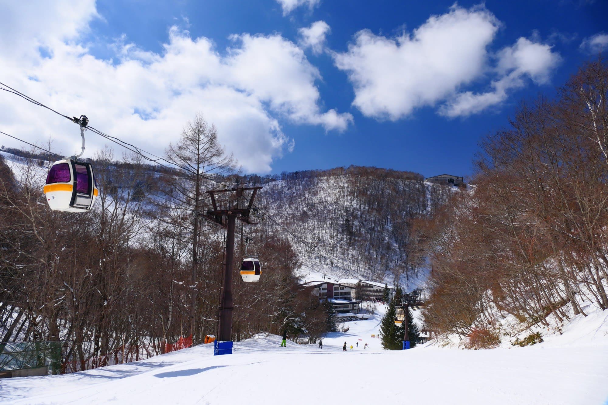 Shiga Kogen, Japón